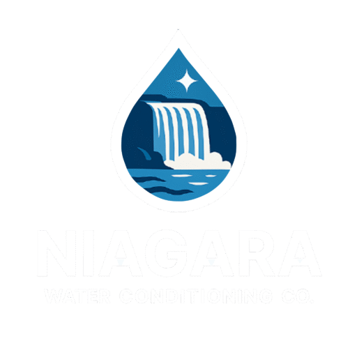 niagara_logo_transparent